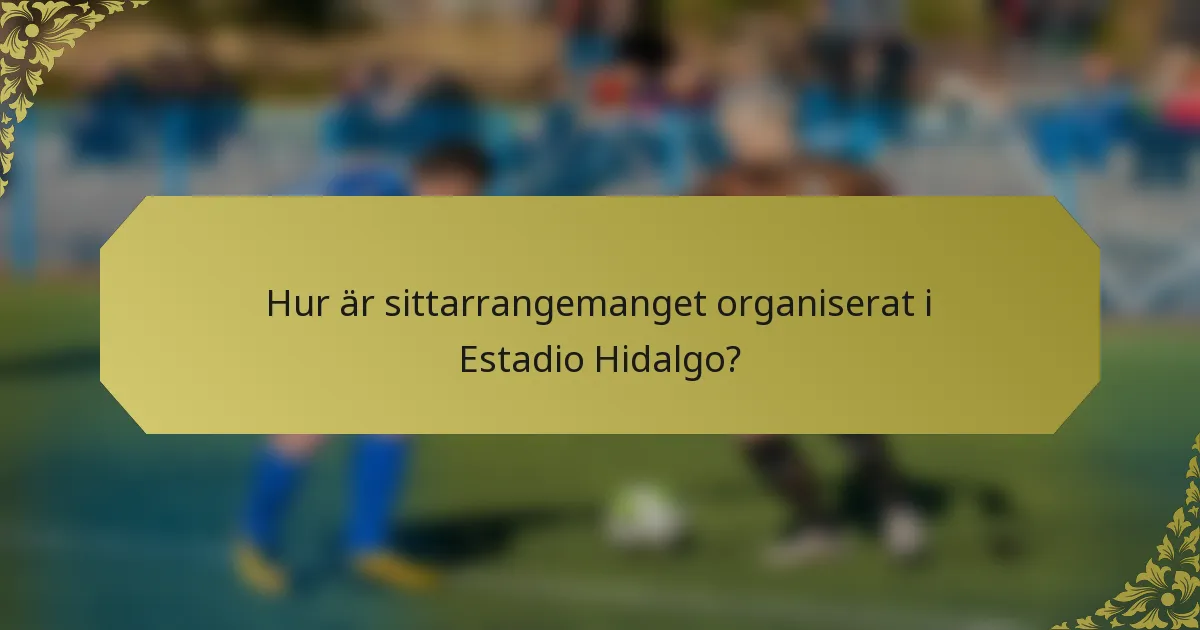 Hur är sittarrangemanget organiserat i Estadio Hidalgo?