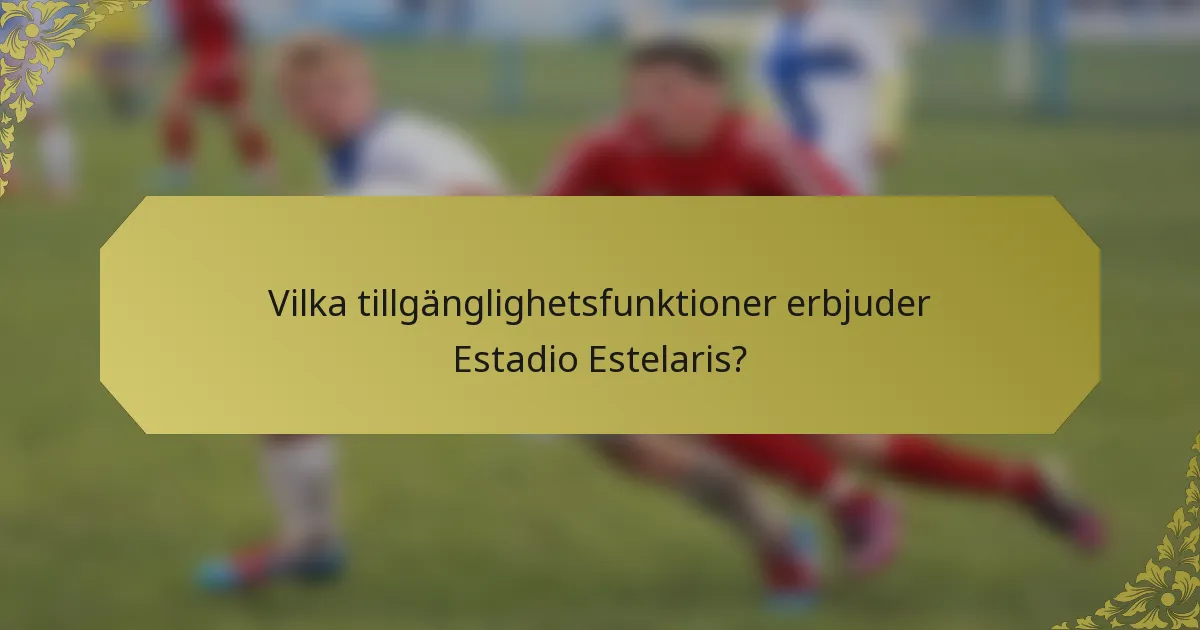 Vilka tillgänglighetsfunktioner erbjuder Estadio Estelaris?