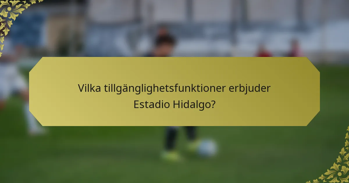 Vilka tillgänglighetsfunktioner erbjuder Estadio Hidalgo?